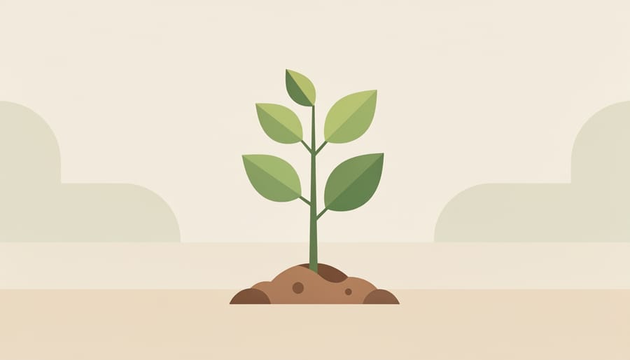Close-up of hands holding a small sapling ready to be planted with sunlight on the leaves